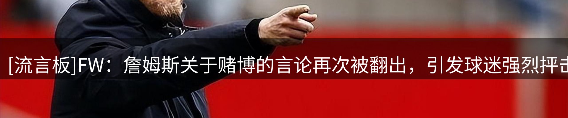 公司汇总
